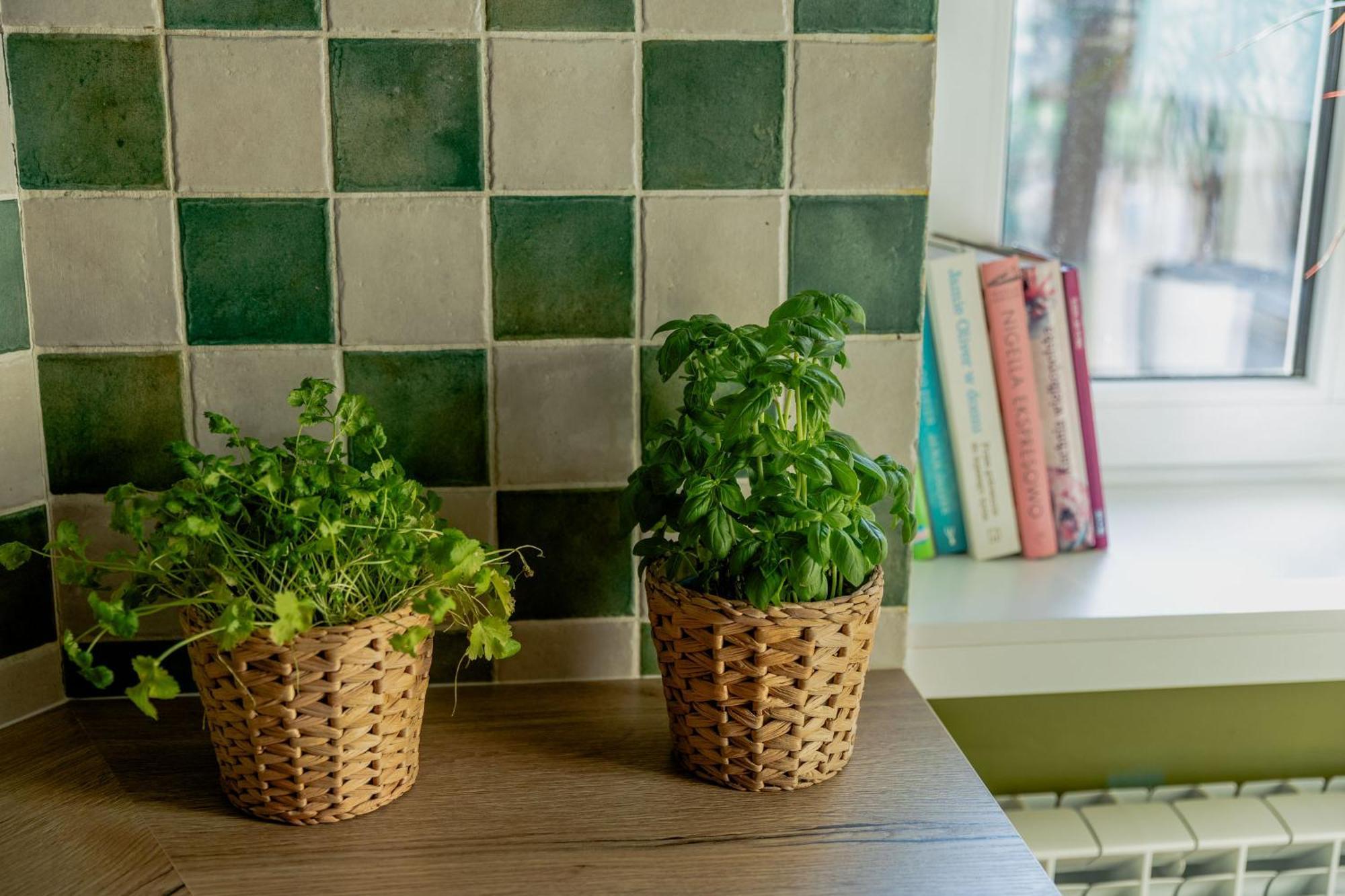 Atelier Hostel Leszno  Εξωτερικό φωτογραφία