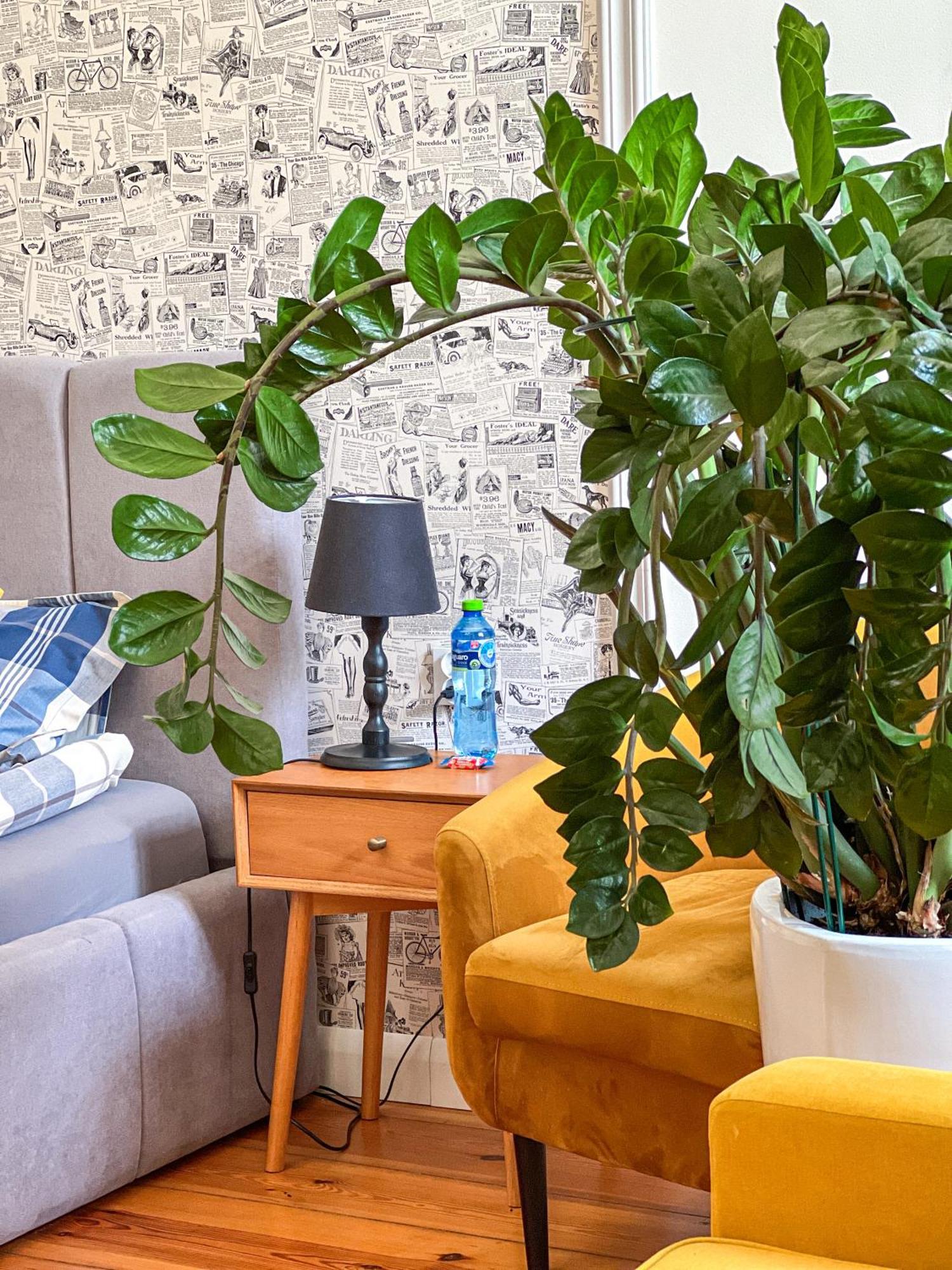 Atelier Hostel Leszno  Εξωτερικό φωτογραφία